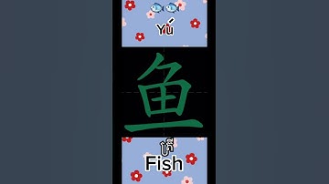 HSK1 how to write yu 鱼 fish #learn #study #chinese