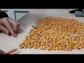 Как делают семена кукурузы?🌽