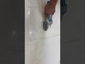 معالجة روبة سقية السيراميك القديم