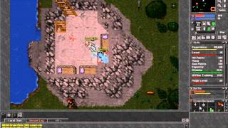 Tibia - Menera Low Level / Amazon Tower