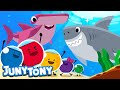 Marshmallows And the Sharks | Marshmallow Song for Kids | Let's Find Mimi's Ribbon! | JunyTony