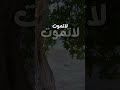 لاتموت مهما كنت ياقلب مطعون جديد ياسر الشهراني الماضي القاسي