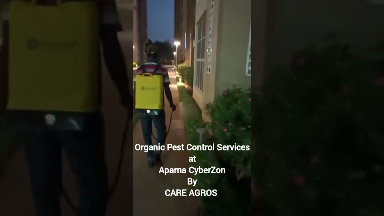 TruGreen | America's #1 Name in Lawn Care