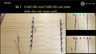 Beautiful in White - Canon ขิม | สื่อการสอนดนตรีไทย | WSF School