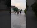 Janwar Bhag Gaye Eid Ul Adha Vlog 02 Viral Short Views Eid Qurbani Multan 