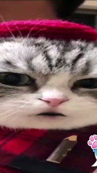 Я суга буду делать #мем #respect #memes - YouTube