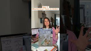 Make Biological Molecules Fun To Teach