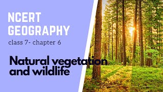 Chapter 6: Natural vegetation & wildlife | Class 7 | NCERT Geography | Types of Forest Flora Fauna Ncert Class 7 Geography Chapter