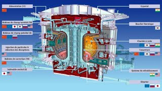 Sergio Orlandi: La fusione nucleare, Il reattore sperimentale termonucleare internazionale ITER by Gabriele Martufi 468 views 8 months ago 12 minutes, 3 seconds
