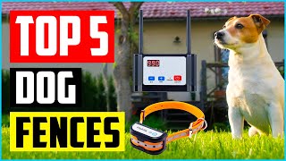 Top 5 Best Wireless Dog Fences in 2022 Reviews