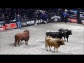 Maureen Mulheron - Stubborn as a Bull at the PBR