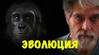 Эволюция человека. Теория Дарвина. От австралопитека до человека разумного. Эволюция человека. Теория Дарвина. От австралопитека до человека разумного.