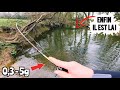 LA PÊCHE au VER réserve de belles surprises ! (Ma stratégie sur cette session express en rivière )