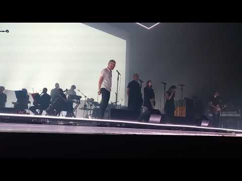 Not In Kansas Video