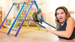 MASSIVE INDOOR JUNGLE GYM FOR BABY MONKEY!