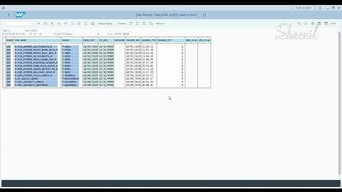 32. SAP GRC - BRM - Role Management Options