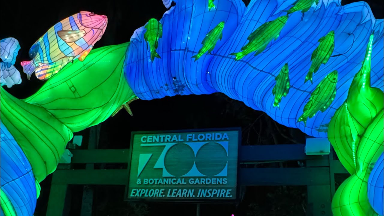 Фестиваль азиатских фонарей в зоопарке Центральной Флориды — это то, что обязательно нужно увидет...