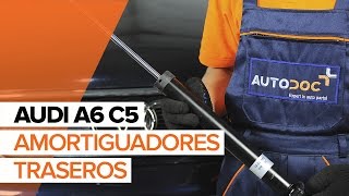 Cambiar Kit amortiguadores traseros AUDI A6 Avant (4B5, C5) - instrucciones en video