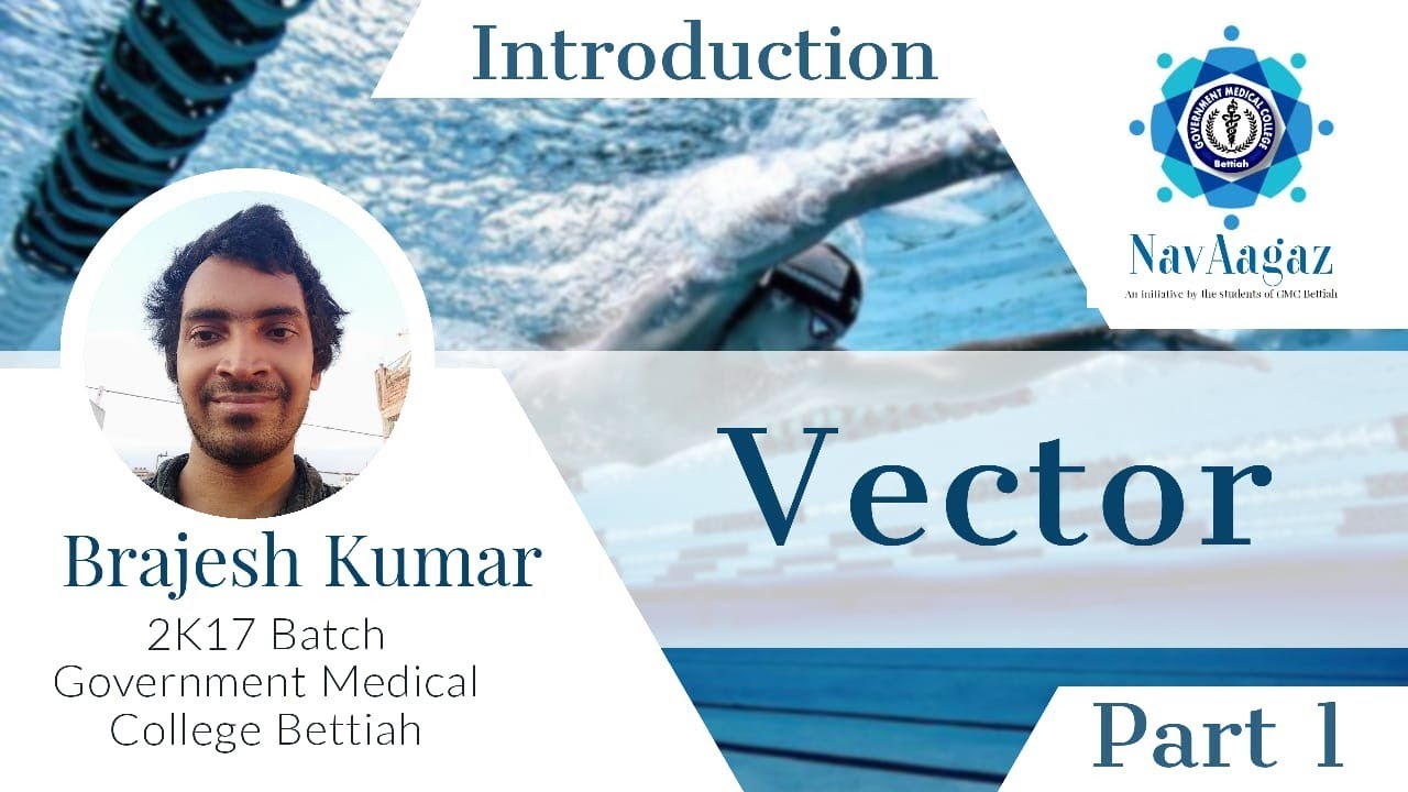 VECTOR INTRODUCTION PART 01 - YouTube