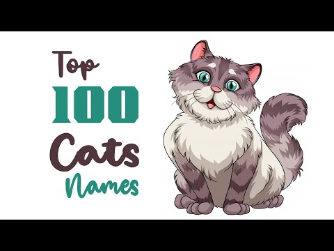Video: Cat Names For Male Cats With The Letter П