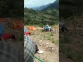 si Bolang