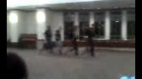 Alpha Psi Lambda RHO STROLL 2011