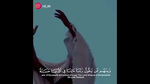 سعود الشريم|تلاوه جميله جدا جدا💚🎧
