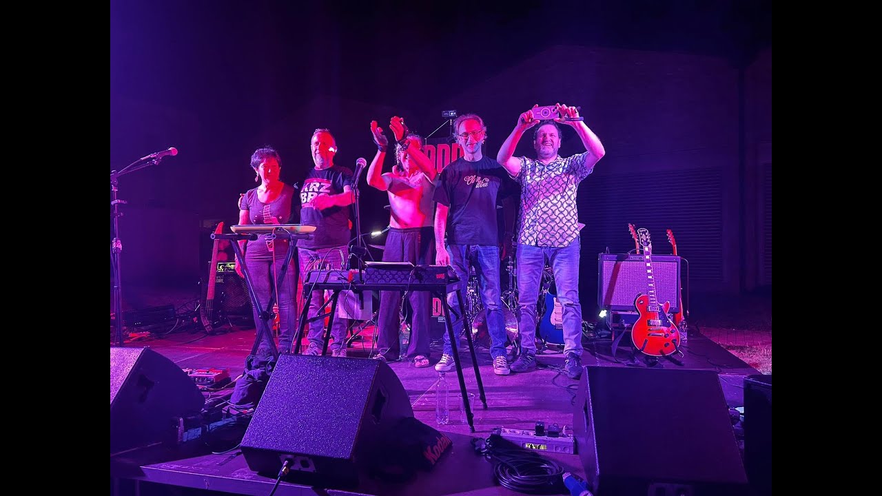 TESTE DI C***O, MUSICA DI M***A Coi DDDR a Bologna accade anche questo.Minivideo Sono come tu mi vuoi: gratis! DDDR (cccp tribut) in concerto