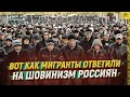 Вот как мигранты ответили на шовинизм россиян [ENG SUB]