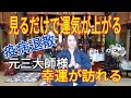 【願いが叶う寺】船越英一郎さんも訪れる有名なお寺にコロナ終息を御祈願に行って来ました【幸せの扉】by 妙圓寺