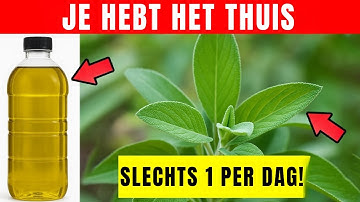 1 Blad dat Diabetes Vernietigt, Buikvet Smelt en Arteries Snel Reinigt! (Dokter Geschokt)
