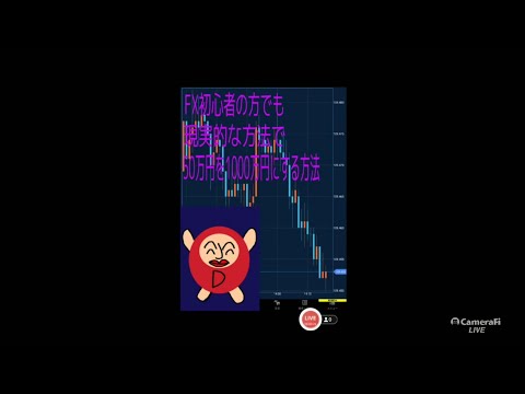 FX初心者の方でも現実的な方法で50万円を1000万円にする方法