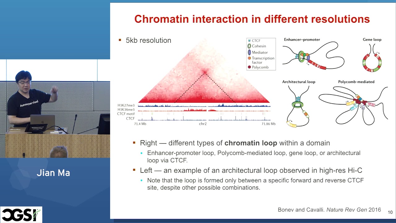 Jian Ma | Comparing 3D Genome Organization | CGSI 2019 - YouTube