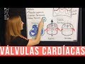 VÁLVULAS DEL CORAZÓN ¡Fácil Explicación!  | Mentes Médicas