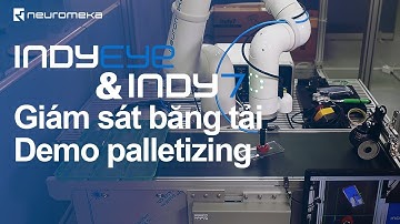 Demo palletizing cùng với IndyEye + Cobot Indy7