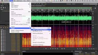 Splitting Audio files for elearning in Adobe Audition CC