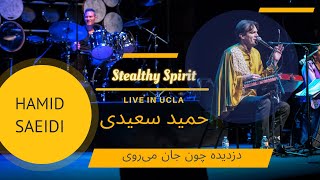 Hamid Saeidi - Stealthy Spirit Ucla | حمید سعیدی Resimi