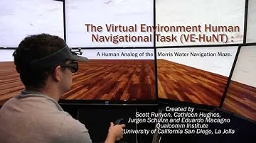 The Virtual Environment Human Navigational Task (VE-HuNT)