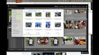 Mylio Photos Tip Mylio & Lightroom Differences for Backing Up Photos