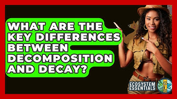 What Are The Key Differences Between Decomposition And Decay? - Ecosystem Essentials