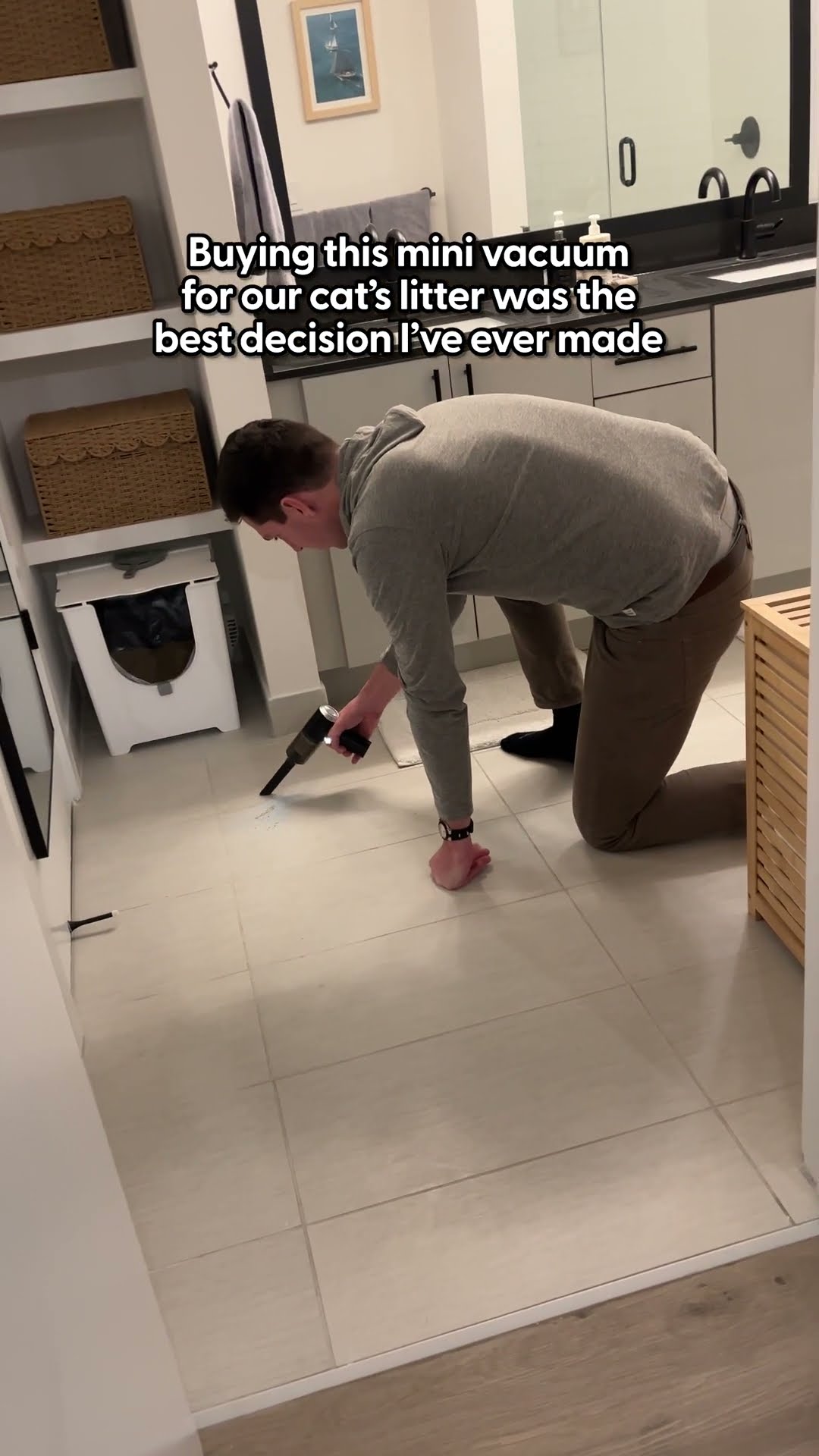 Best Mini Vacuum For Cleaning Up Cat Litter | The Pack