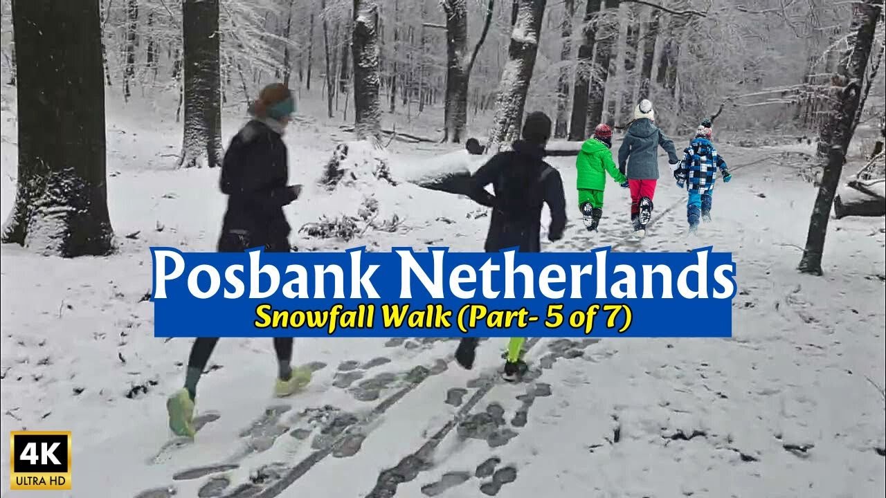 ❄️Snowfall Walk 2026: Exploring Posbank Netherlands (Part 5/7) | Winter Wonderland 4K