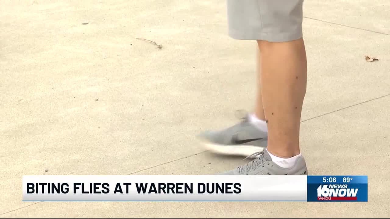 Warren Dunes warns beachgoers of biting flies