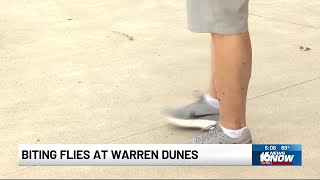 Warren Dunes warns beachgoers of biting flies