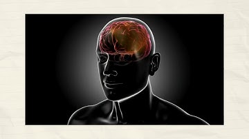 Marvelous Mind - Short Reflection