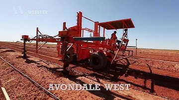 Thu hoạch quả Óc chó ở Úc