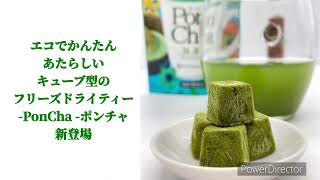PonCha(ポンチャ) 抹茶 10g(10粒入) | 卸・仕入れサイト【卸売ドットコム】
