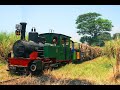 Java Steam &amp; Sugar Tours Compilation Video