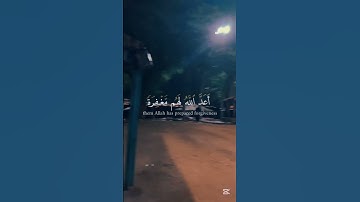 لنتمشى ونستمع 🎧🚶‍♂️… اكتب شيء تؤجر عليه…‏‎#اكسبلور #tree #قرآن #sea #سورة_الأحزاب #احمد_العجمي