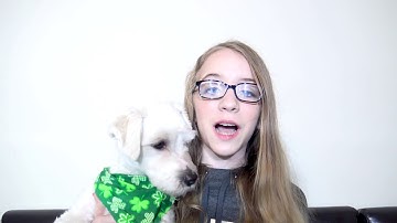 Codergirl.py episode 7 Arrays